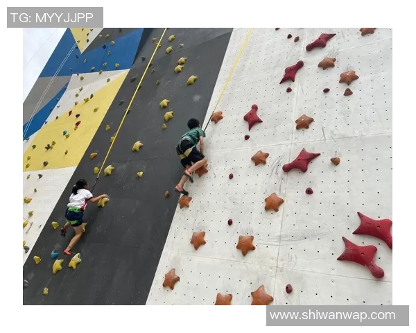 攀岩新手必看：全面耐力训练与技巧提升指南